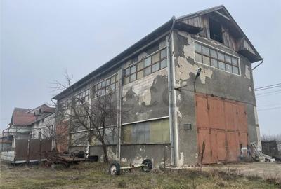 Spațiu comercial, de 500 mp, în Pocola - 10