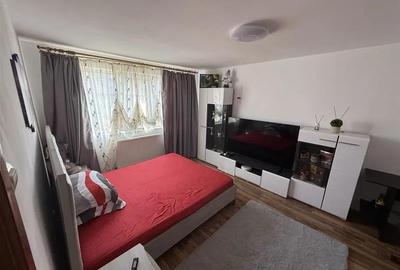 Apartament cu 1 camera zona Buziasului - 1