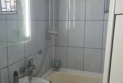 Apartament cu 2 camere decomandat în Podu Roș - 1