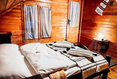 Casa de vacanta cu 4 camere,3300 mp teren,Valisoara - 5