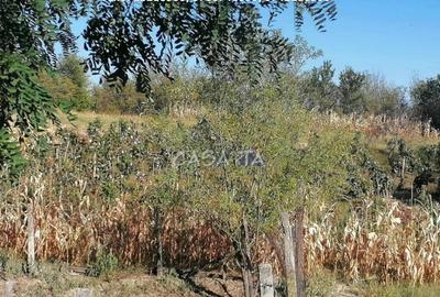 Casa situata in Bumbe?ti Pi?ic - Carligei - 4