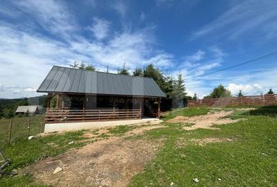 Pensiune moderna cu vedere panoramica spre Lacul Belis ! - 4