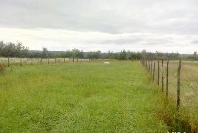 Teren de 2200 mp, în Central - 7