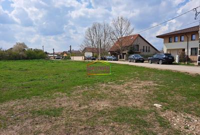 Teren intravilan de 580 mp, în Corbeanca - 4