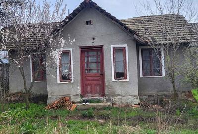 Casă cu 2 camere cu Teren 2000 Mp în Plenița - 4