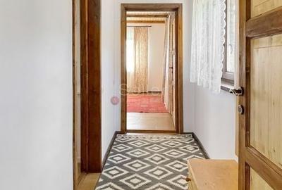 Complex de 3 case pe 18000 mp teren - 37