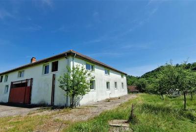 Casă individuală cu 8 camere cu Teren 500 Mp în Vest - 8