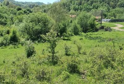 Teren de 5850 mp, în Crușovița - 7