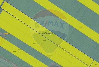 Teren agricol extravilan de 9650 mp, în Cristian - 3