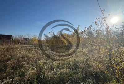 Teren de 12650 mp, în Ghirdoveni - 7