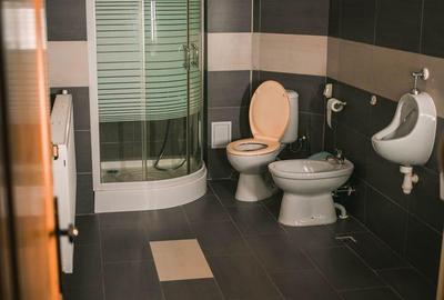 Casă cu 4 camere în Peștișani - 10