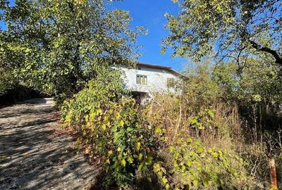 Casa veche cu teren generos com. Rosiile, Valcea - 2