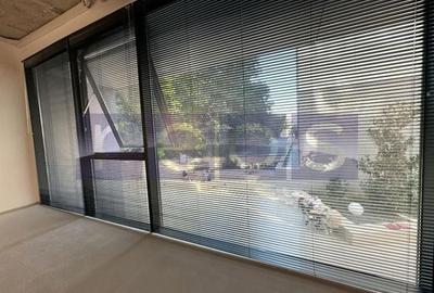 OPORTUNITATE | VANZARE SPATIU COMERCIAL | 44MP | HERASTRAU | WIN | - 3