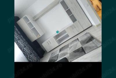 Vand apartament decomandat,mobilat,etaj demisol,Str Aleea Mizil 59-61, Ozana,Titanul Nou - 4