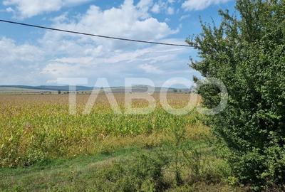 Oportunitate investitie 28000 mp in Sura Mica judetul Sibiu - 2