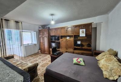 Apartament 1 camera de inchiriat Valea Domanului