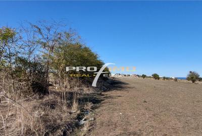 Teren 1600 mp. la cc.1km.de Mare - Eforie Sud-Castelul de Ap - 7