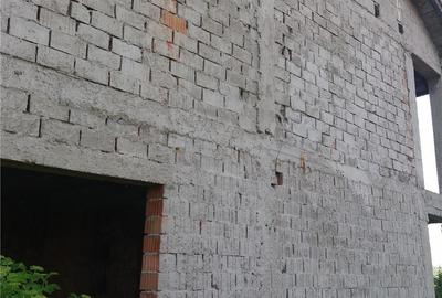 Casă cu 6 camere cu Teren 5000 Mp în Baldovinești - 4