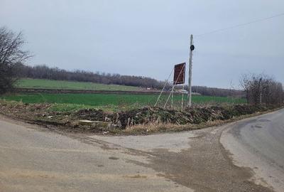 Teren de 17000 mp, în Ghizdaru - 2