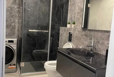 Ofer spre inchiriere garsoniera in zona Aviatiei - 4