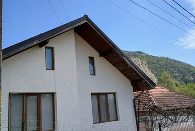 Casă cu 3 camere în Nojag - 8
