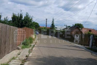 Teren 5590 mp INTRAVILAN Baicoi pret 17 euro/mp - 12