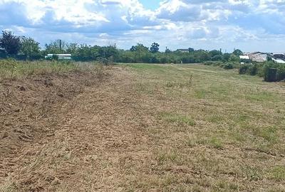 Terenuri cu suprafete intre 500 si 1500 mp in Baicoi, zona Liliesti. - 12