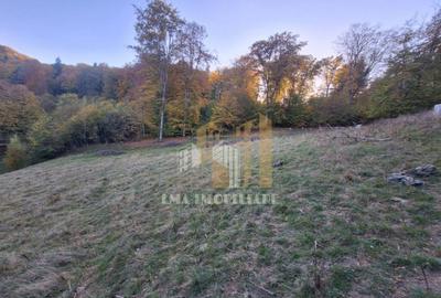 Teren de vanzare 2900 mp Brasov/Strada Ciresului - 5