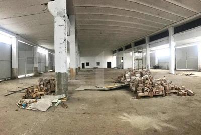 Hala Industriala Mare | 1.250 mp | Acces DN71 | U?i Industriale Mari | Targovi?t - 9