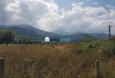 Teren de vanzare in Sambata de Sus - 5