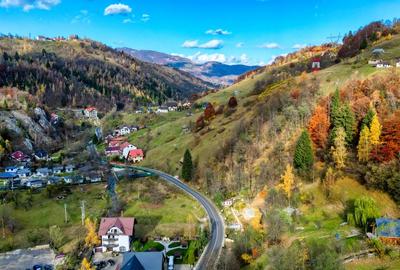 Moieciu, sat Cheia,  zona de poveste. Varianta schimb imobiliar Ilfov, Bucuresti - 5