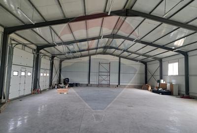 Hala noua 555mp, curte betonata 1000mp, zona de est, de inchiriat - 10