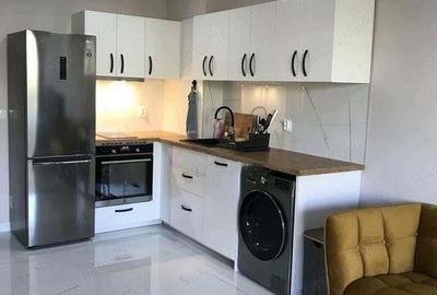 De inchiriat apartament 1 camera in zona Aradului - 3