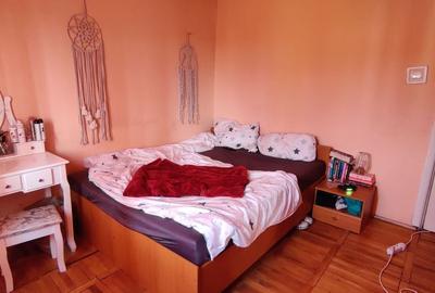 APARTAMENT 2 CAMERE LIPOVEI - 6