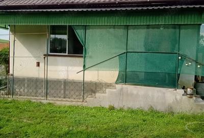 Casă cu Teren 600 Mp în Crăcăoani - 3