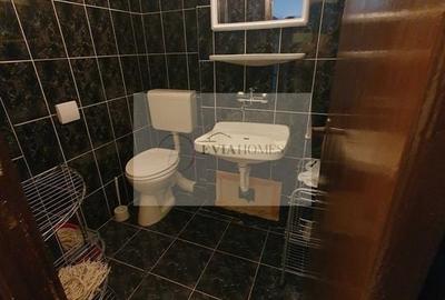 4 camere/Zona Ion Mester - 9