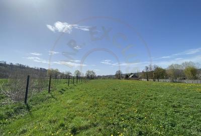 Teren intravilan cu grajduri si anexe – Aninoasa AG - 8