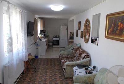 Casă cu 3 camere cu Teren 927 Mp în Sânandrei - 8