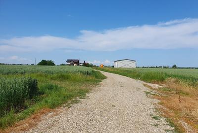 Teren cu vedere la lac Balotesti 600mp - 2