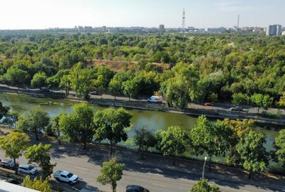 Penthouse cu 9 camere decomandat în Splaiul Unirii - 20