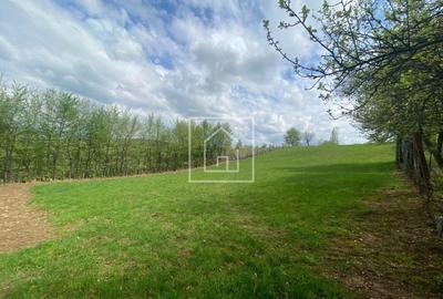 Teren Construcții intravilan de 1042 mp, în Central - 5