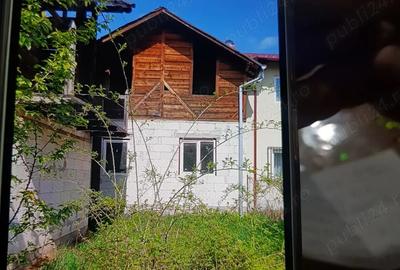 Vand doua case in Viseu de sus - 3