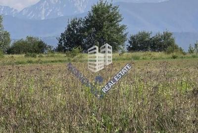 Teren de 896 mp, în Șercaia - 1