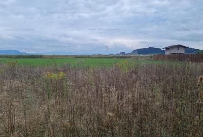 Teren Construcții extravilan de 502 mp, în Hărman - 4