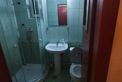 Garsonieră decomandată în Nicolina - 13
