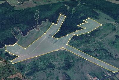 Teren de 480000 mp, în Prunișor - 7