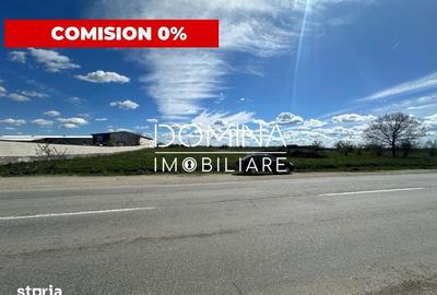 Teren de 10339 mp, în Narciselor - 6