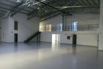 Hala si birouri noi zona Camil Ressu - 3