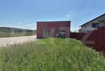 Spațiu comercial, de 300 mp, în Dragomirești - 6