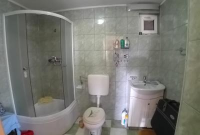 Hala 211 mp. si teren aferent 1600 mp Dobreni jud Neamt - 10